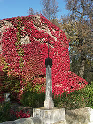 autumn colors in st chinian