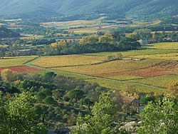 autumn valley