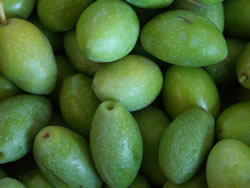 green olives