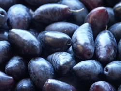 black olives