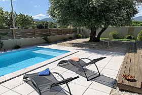 swimming pool and olive tree