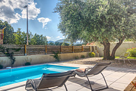 swimming pool and olive tree
