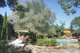 Pool and garden